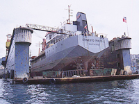 Sociber Dock