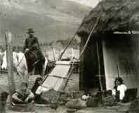 Mapuches