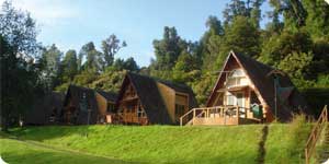 Termas