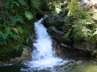 Termas Coñaripe